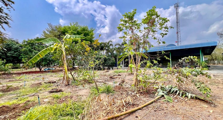 For rent and for sale land in Phanat Nikhom, Chonburi