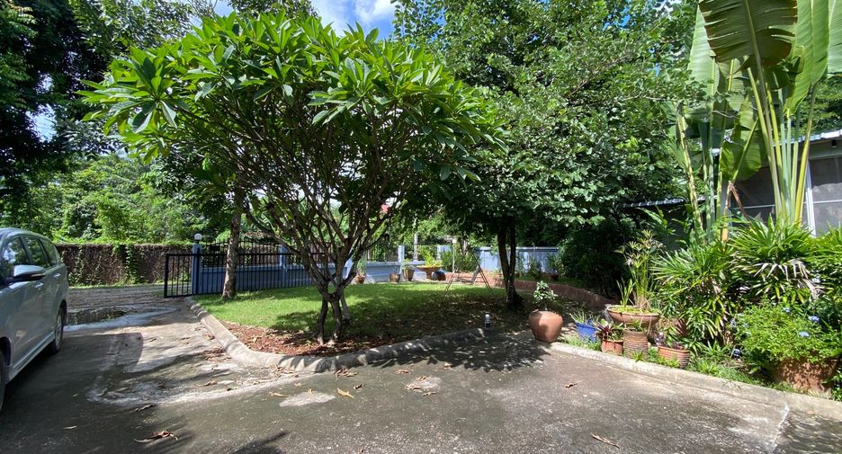 For rent and for sale 4 bedrooms house in San Sai, Chiang Mai