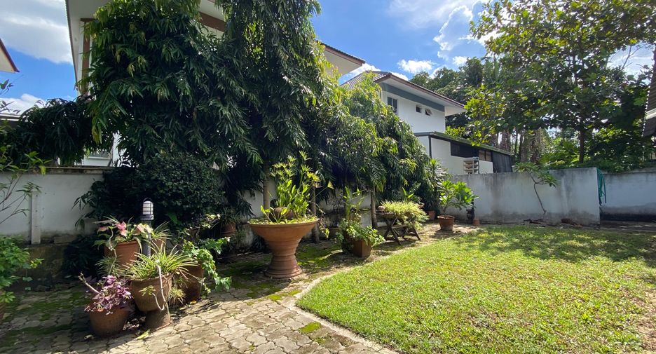 For rent and for sale 4 bedrooms house in San Sai, Chiang Mai