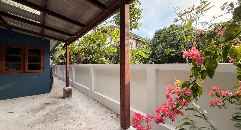 For rent and for sale 4 bedrooms house in San Sai, Chiang Mai
