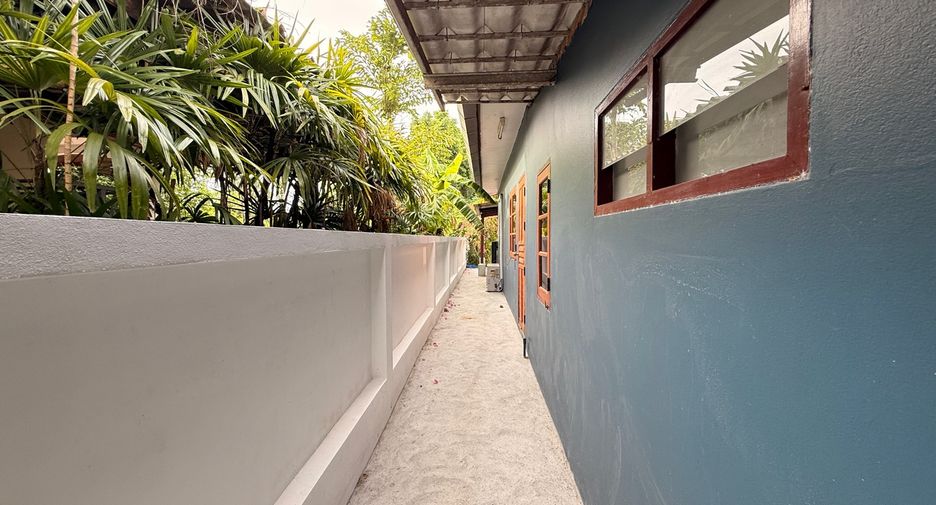 For rent and for sale 4 bedrooms house in San Sai, Chiang Mai