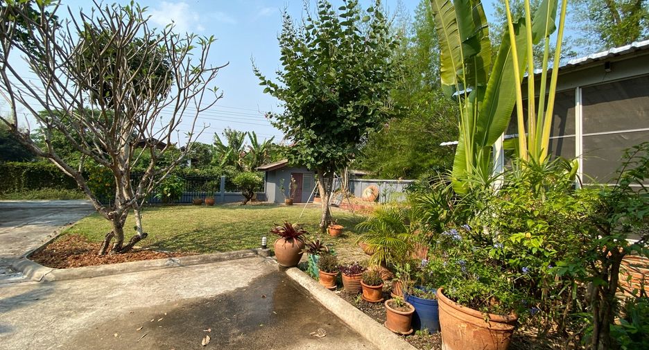 For rent and for sale 4 bedrooms house in San Sai, Chiang Mai