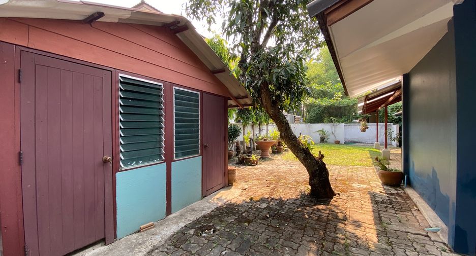 For rent and for sale 4 bedrooms house in San Sai, Chiang Mai