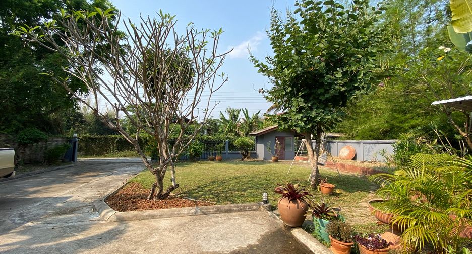 For rent and for sale 4 bedrooms house in San Sai, Chiang Mai