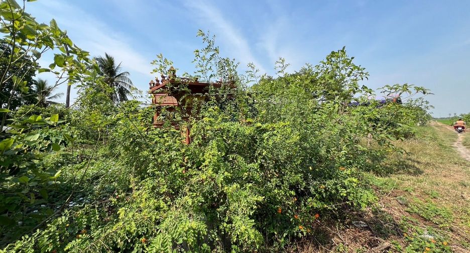 ขาย ที่ดิน ใน ลาดหลุมแก้ว, ปทุมธานี