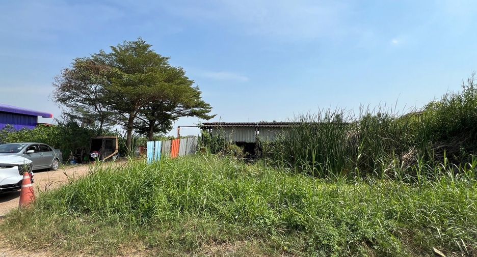 ขาย ที่ดิน ใน ลาดหลุมแก้ว, ปทุมธานี