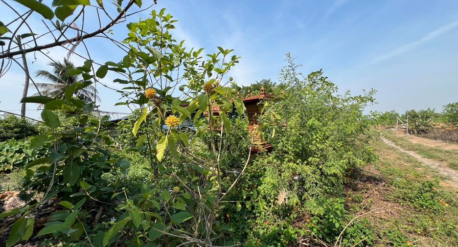 ขาย ที่ดิน ใน ลาดหลุมแก้ว, ปทุมธานี