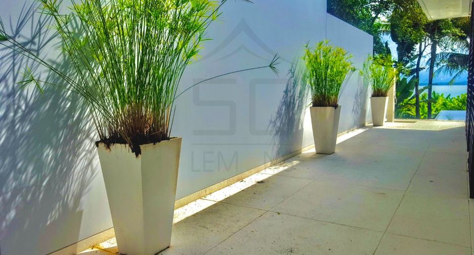 For rent 4 bedrooms villa in Thalang, Phuket