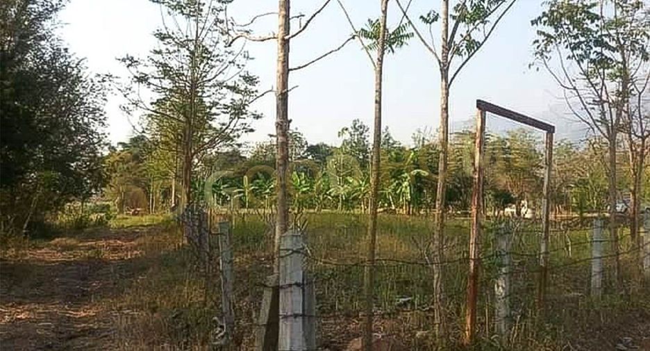 For sale land in Lom Kao, Phetchabun