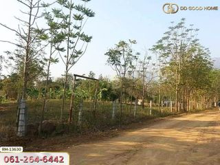 For sale land in Lom Kao, Phetchabun