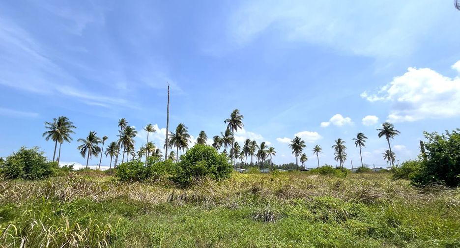 出售 土地 在 Takua Pa, Phangnga
