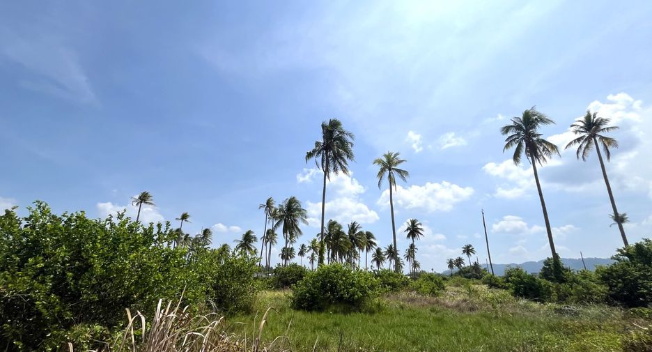 出售 土地 在 Takua Pa, Phangnga