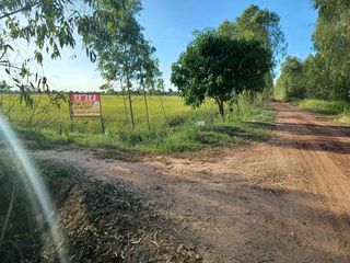 For sale land in Phrom Phiram, Phitsanulok