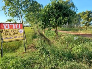 For sale land in Phrom Phiram, Phitsanulok