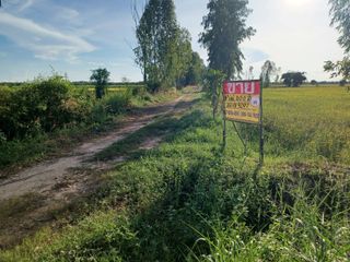 For sale land in Phrom Phiram, Phitsanulok