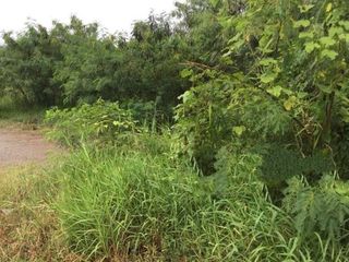 For sale land in Sam Phran, Nakhon Pathom