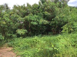 For sale land in Sam Phran, Nakhon Pathom