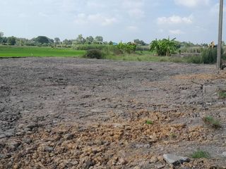 For sale land in Ongkharak, Nakhon Nayok