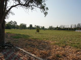 For sale land in Bang Phli, Samut Prakan