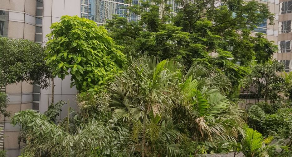 For sale 3 bedrooms condo in Pathum Wan, Bangkok