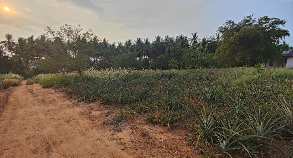 出售 土地 在 Pran Buri, 班武里府