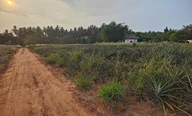 For sale land in Pran Buri, Prachuap Khiri Khan