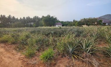 For sale land in Pran Buri, Prachuap Khiri Khan