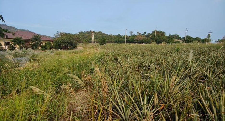 出售 土地 在 Pran Buri, 班武里府