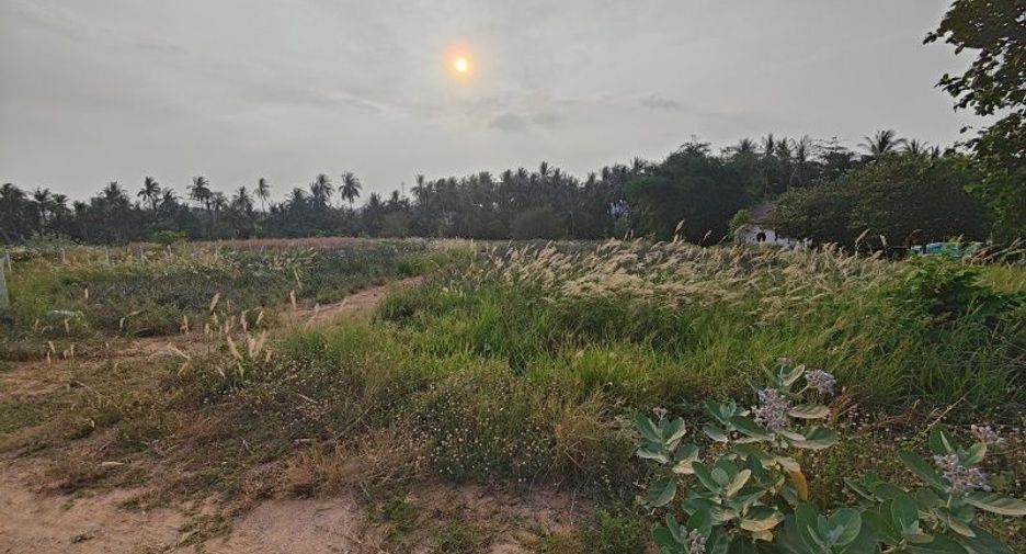 出售 土地 在 Pran Buri, 班武里府