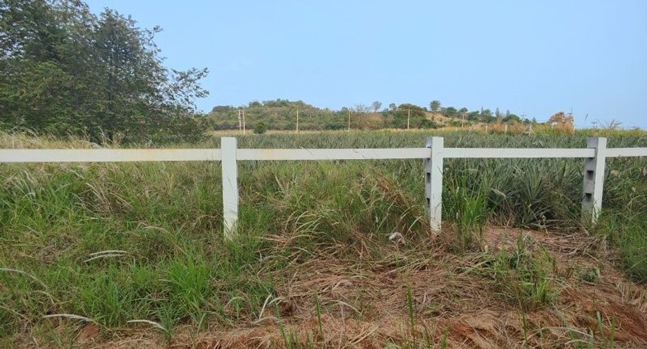 出售 土地 在 Pran Buri, 班武里府
