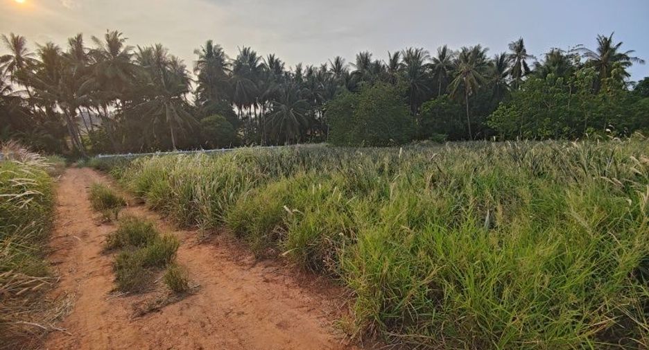 出售 土地 在 Pran Buri, 班武里府