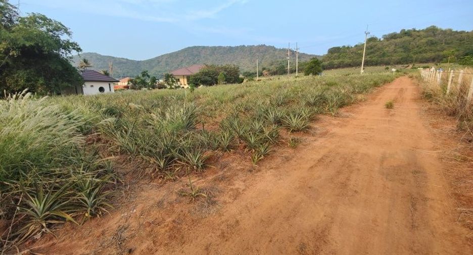 出售 土地 在 Pran Buri, 班武里府