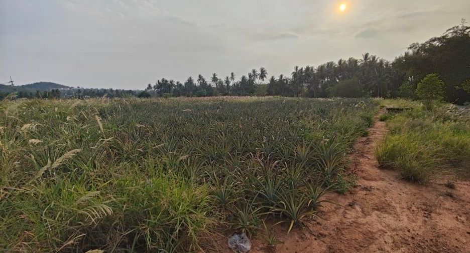 出售 土地 在 Pran Buri, 班武里府