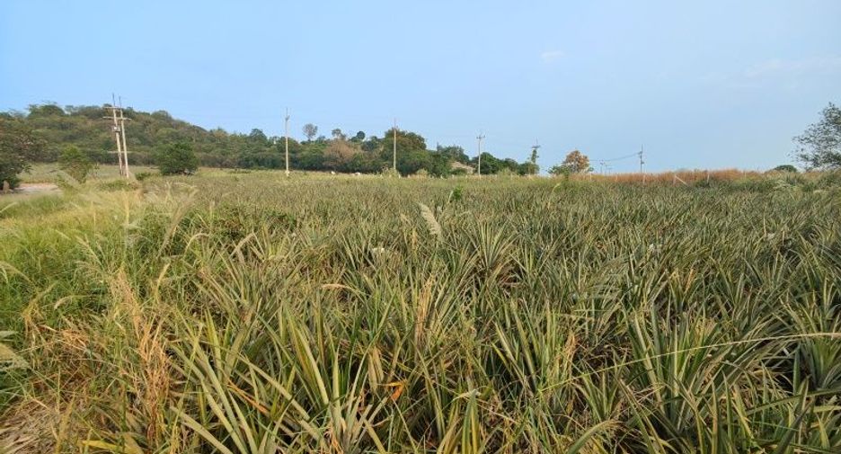 出售 土地 在 Pran Buri, 班武里府