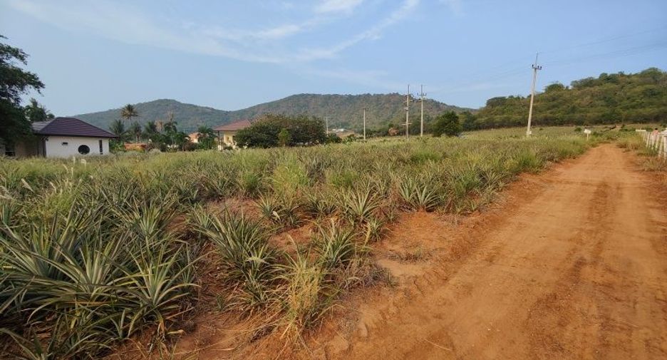 出售 土地 在 Pran Buri, 班武里府