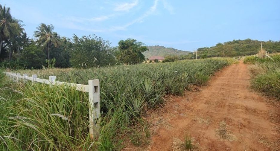 出售 土地 在 Pran Buri, 班武里府
