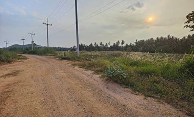 For sale land in Pran Buri, Prachuap Khiri Khan