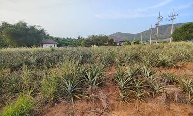 For sale land in Pran Buri, Prachuap Khiri Khan
