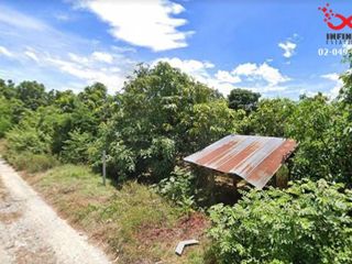 For sale land in Ban Hong, Lamphun