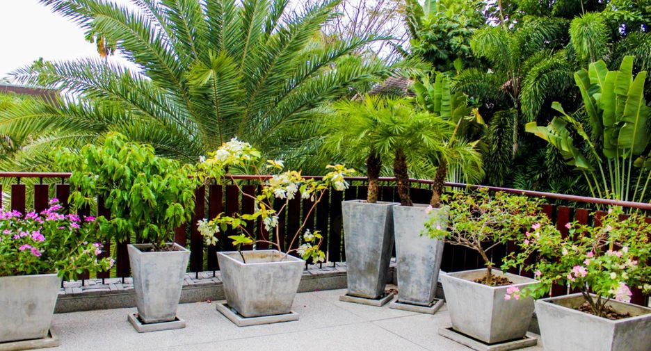 For rent and for sale 5 bedrooms villa in Thalang, Phuket
