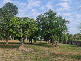 For sale land in Mueang Chiang Rai, Chiang Rai
