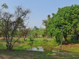 For sale land in Mueang Chiang Rai, Chiang Rai