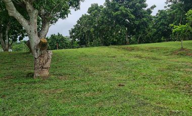 For sale land in Mueang Chiang Rai, Chiang Rai