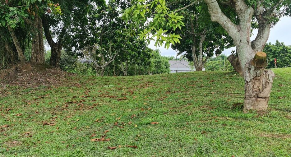 For sale land in Mueang Chiang Rai, Chiang Rai