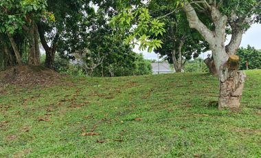 For sale land in Mueang Chiang Rai, Chiang Rai