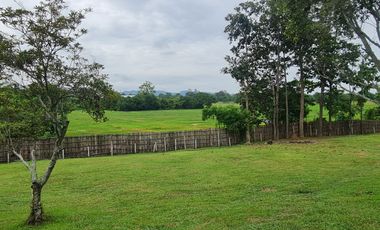 For sale land in Mueang Chiang Rai, Chiang Rai
