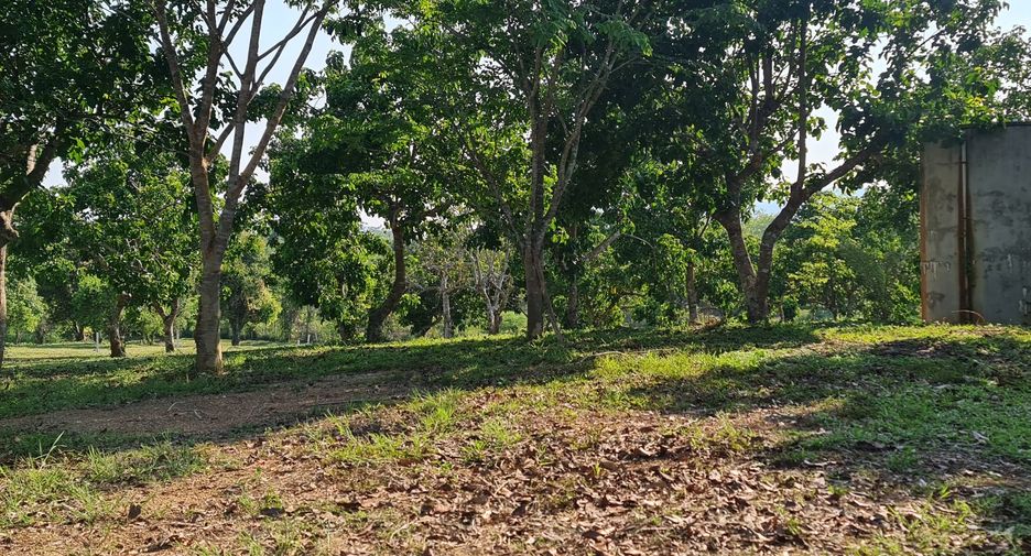 For sale land in Mueang Chiang Rai, Chiang Rai