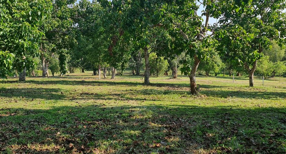 For sale land in Mueang Chiang Rai, Chiang Rai