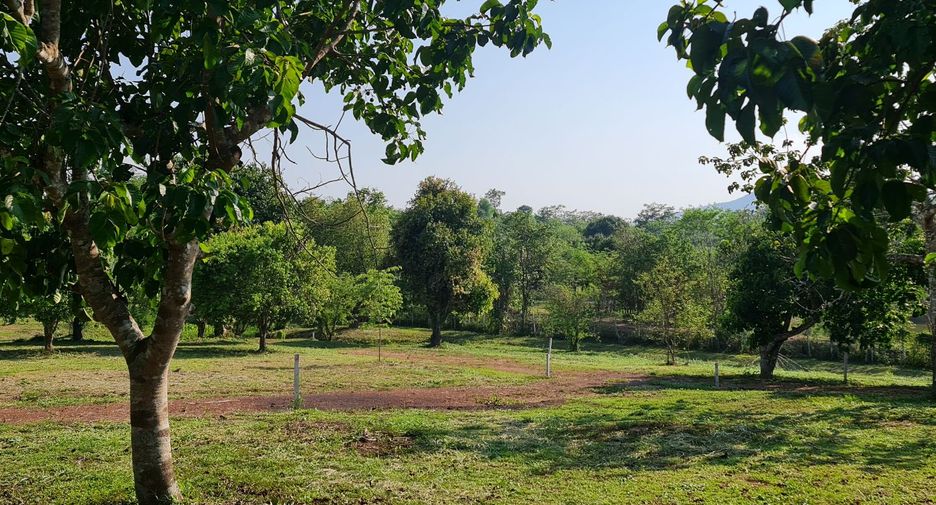 For sale land in Mueang Chiang Rai, Chiang Rai