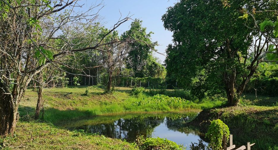 For sale land in Mueang Chiang Rai, Chiang Rai